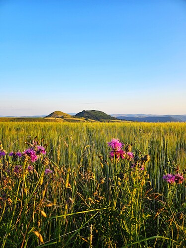 Bondons Lozère